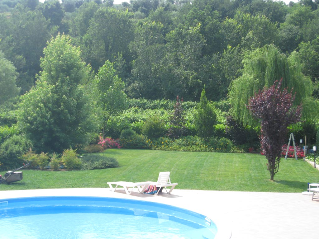 giardino naturale con erba sintetica e piscina